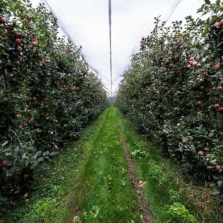 Hotel Agriturismo Al Luogo Del Giulio Maniago Zewnętrze zdjęcie