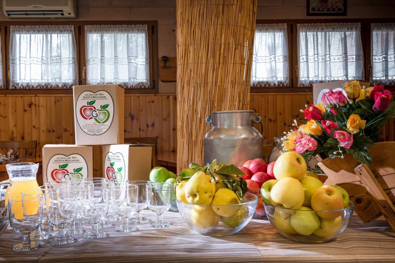 Hotel Agriturismo Al Luogo Del Giulio Maniago Zewnętrze zdjęcie