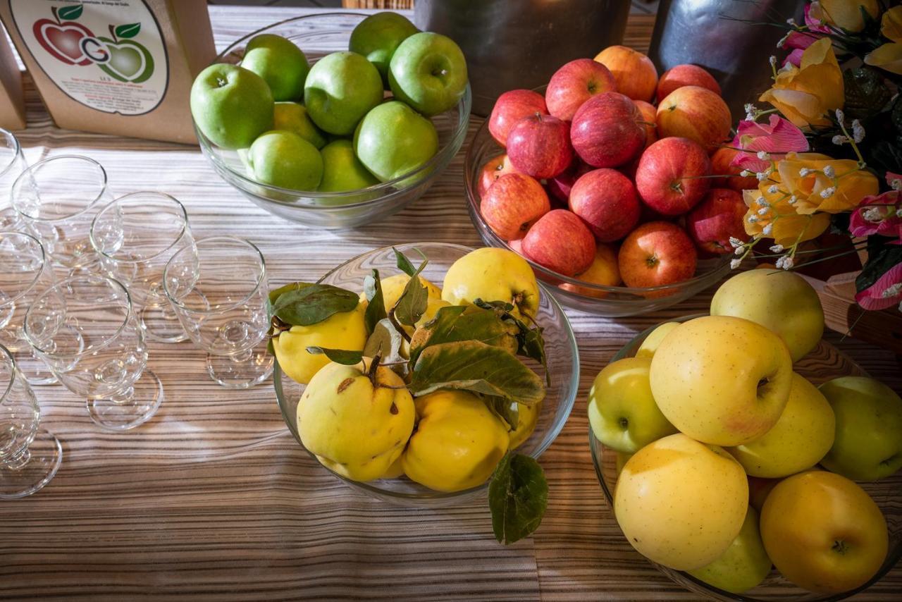 Hotel Agriturismo Al Luogo Del Giulio Maniago Zewnętrze zdjęcie