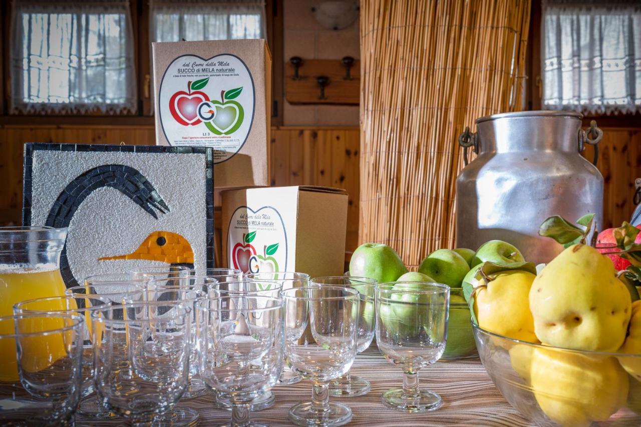 Hotel Agriturismo Al Luogo Del Giulio Maniago Zewnętrze zdjęcie