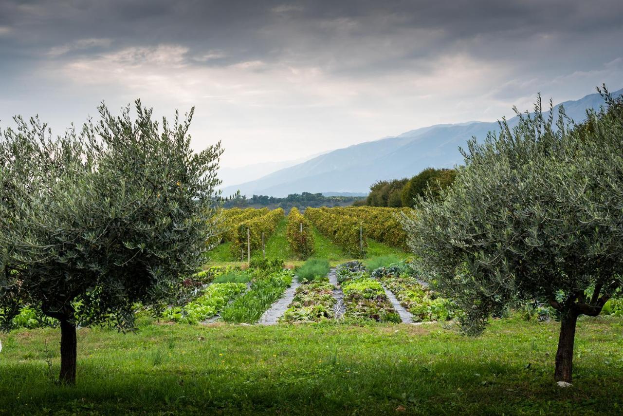 Hotel Agriturismo Al Luogo Del Giulio Maniago Zewnętrze zdjęcie